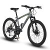 S24102 24 Inch Mountain Bike Boys Girls, Steel Frame, Shimano 21 Speed Mountain Bicycle with Daul Disc Brakes and Front Suspension MTB - as Pic